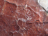 Cotton wool remains left by a varnish removal in the past